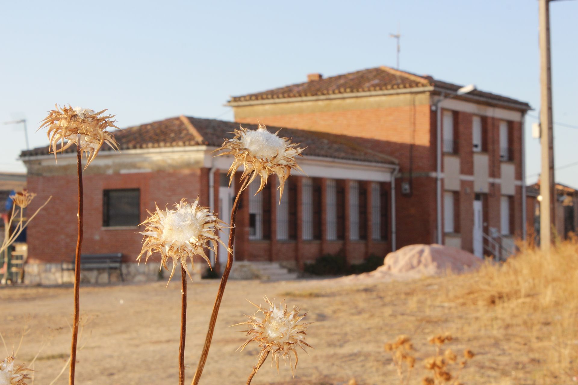 ANTIGUAS ESCUELAS DE MEDINILLA (CONSUELO BENITO)