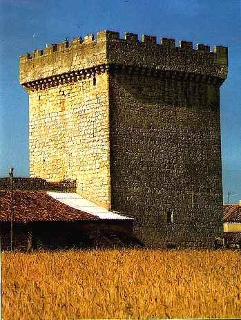 TORRE EN ARENILLAS DE MUÑO